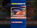 日美對中國的抵制行動