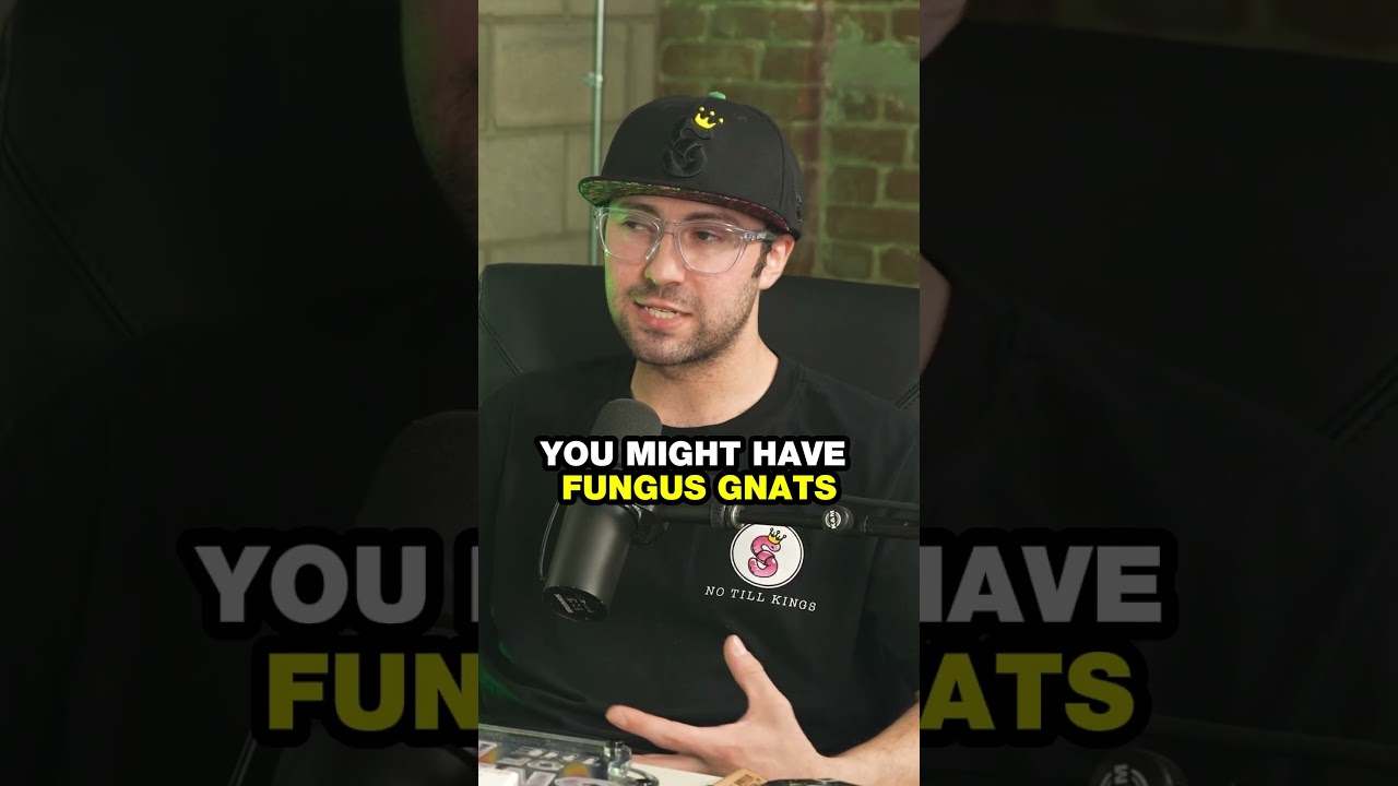 No Till Kings  On Starting to try “NoTill Organic Living Soil” and see the difference in strains.