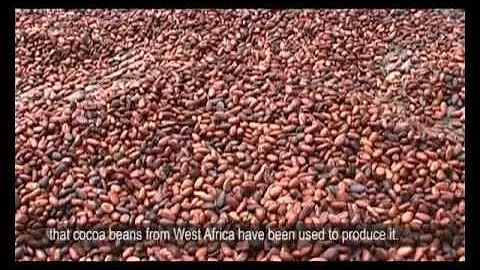 Šta je sastavni deo kakao praha?