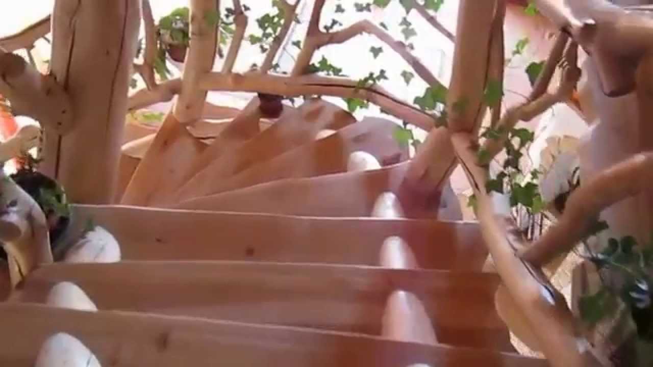 Vissza a természetbe gyönyörű fa lépcsŠback to nature youtube