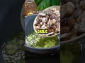 Luxury Hotel Mushroom Dish at Home
