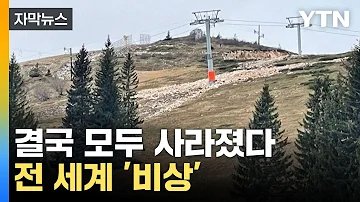 자막뉴스 알프스에서도 모두 사라졌다 전 세계 덮친 기상이변 YTN