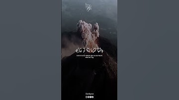 سورة يونس - ياسر الدوسري | اية 24