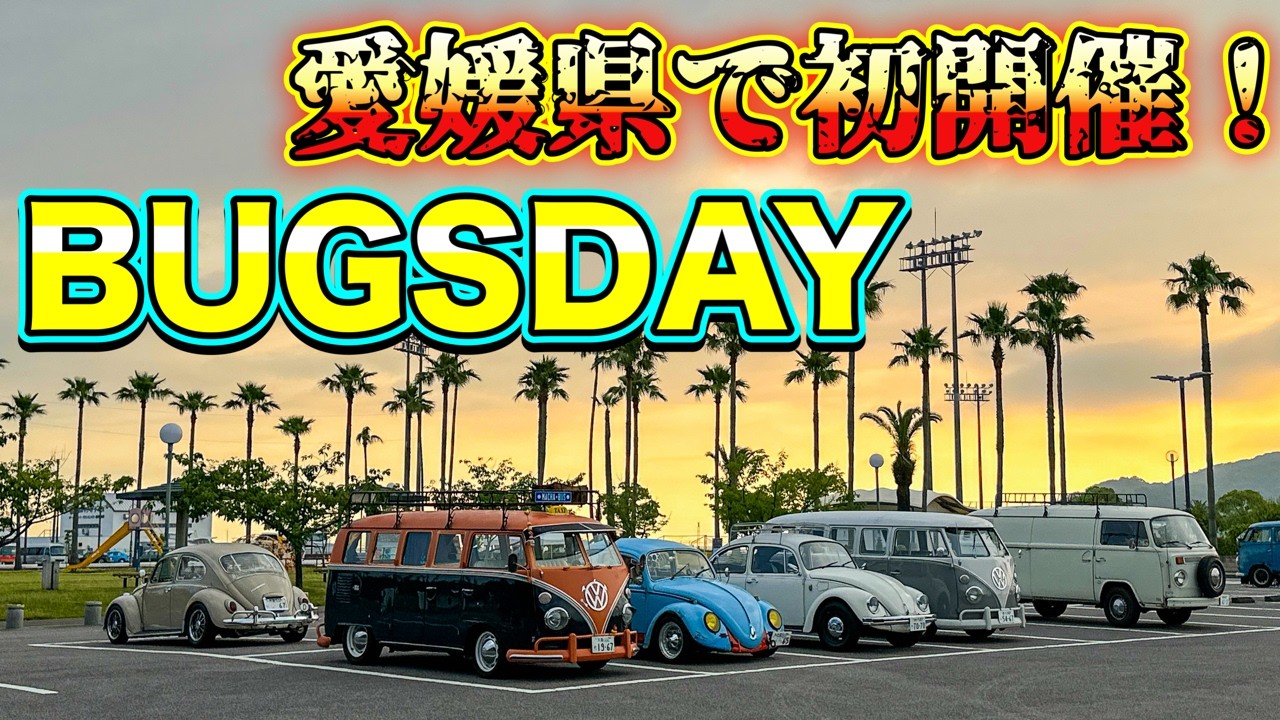 Air-cooled Volkswagen Event] Ehime Prefecture's first BUGSDAY sees