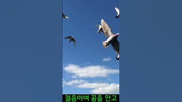 Thumbnail of 날개 - 허영란
