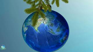 Earth Globe Christmas Ornaments