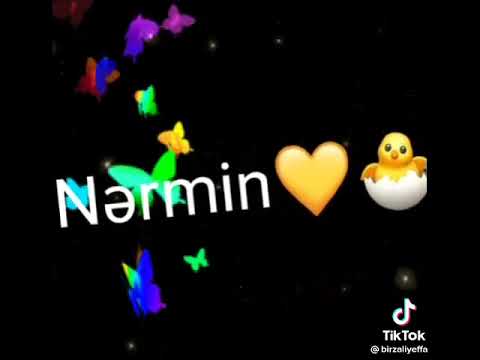 Nərmin adina aid video