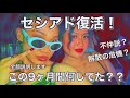 【9ヶ月ぶり】復活しました。何があったか説明します。【セシアド】