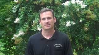 Cash For Junk Cars - Fleming Auto Salvage