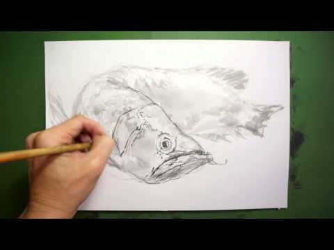 筆のイラスト 描き方 絵の上達法を実演解説 アロワナ How To Draw Arowana Youtube