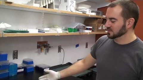 Micro-western arrays - 03 - Storing the Gel