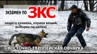 ВЕО на ЗКС - защитно-караульная служба, дрессировка. Испытания по ЗКС. Собака Лера(ЗКС- защитно-караульная служба, дрессировка. Проводник Татьяна Орлова с ВЕО Ламия (Серебряный стиль) на..., 2015-12-28T11:49:08.000Z)
