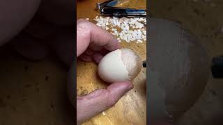 Cảnh nổi bật từ buổi phát trực tiếp