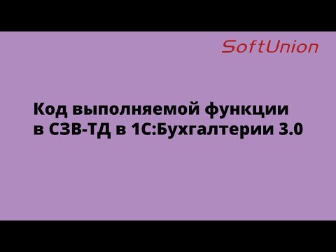 Код выполняемой функции в СЗВ-ТД в 1С:Бухгалтерии 3.0