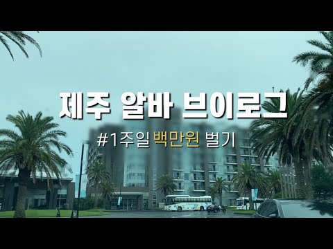 제주알바 브이로그 제주살이 첫 알바 1주일에 백만원 벌기 