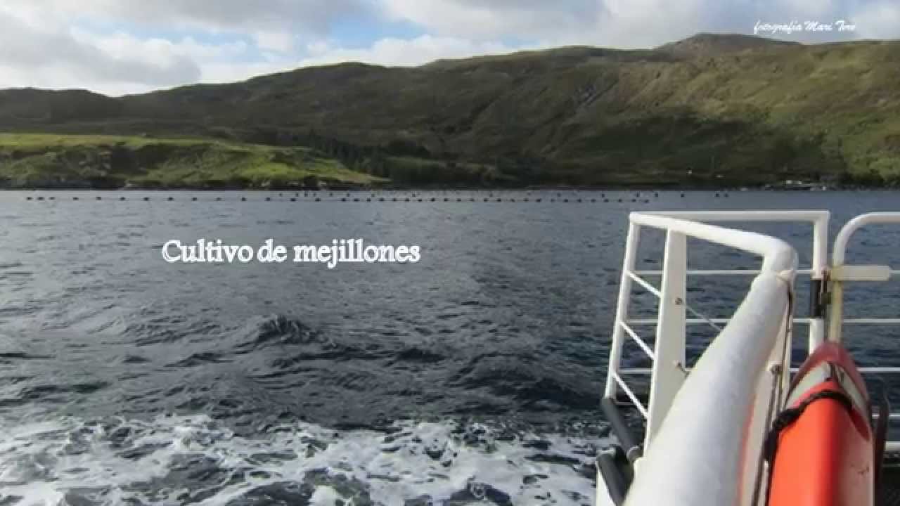 "Irlanda" Parque N.Connemara- Fiordo Killary. Abadía Kelymore -  Mari Tere