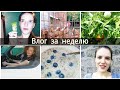 Покупки для дома/Первые помидоры/Пробую голубику/Эмилия всех курей накормит)