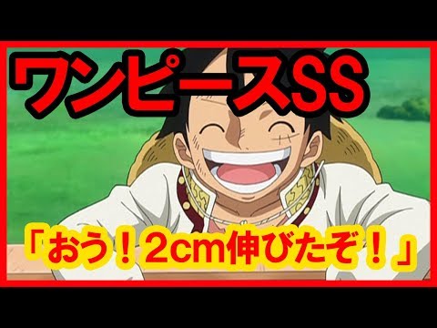 ワンピースss ルフィ おう ２ｃｍ伸びたぞ Youtube