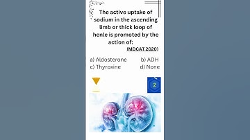 Can you solve this? MDCAT mcq | NEET mcq #mdcat #mdcatbiomcqs #biologymcqs #neet  #shorts