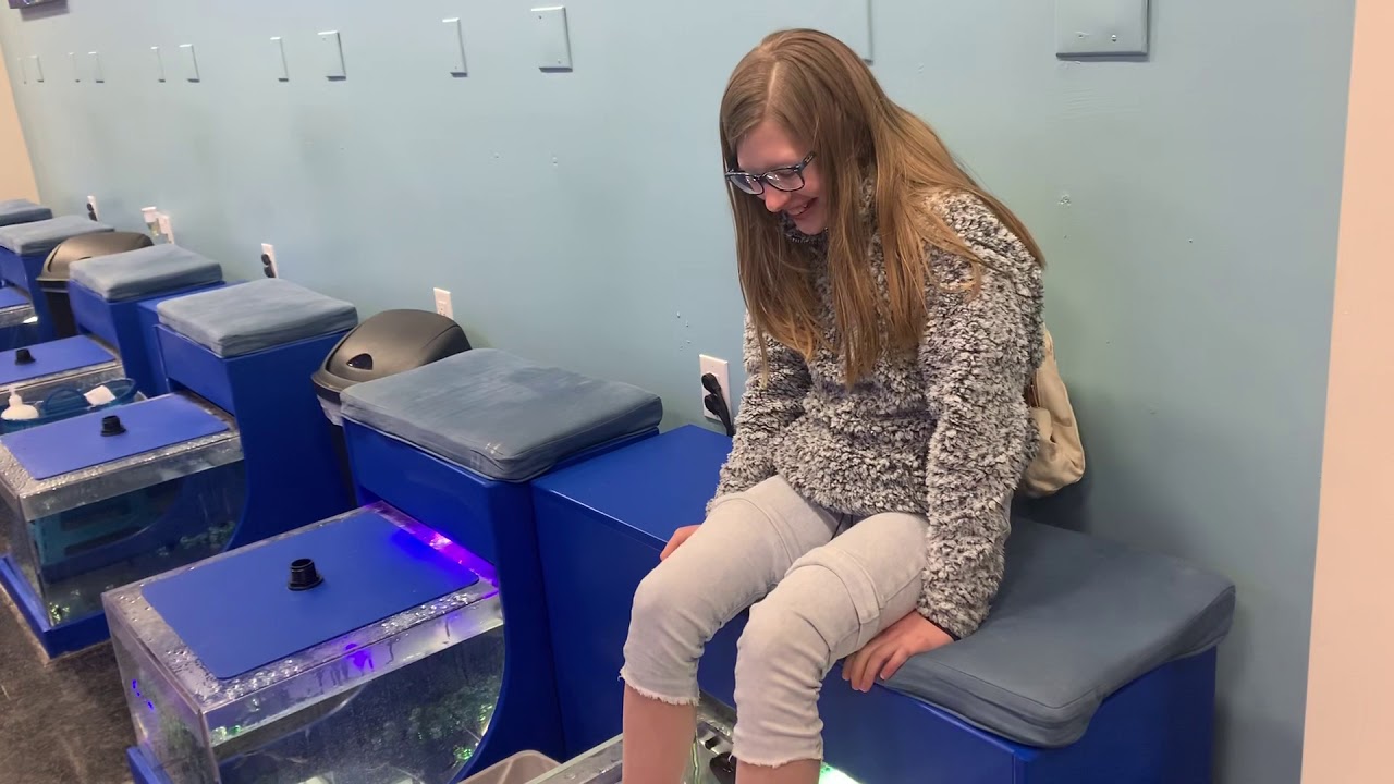 Brooklyn fish YouTube