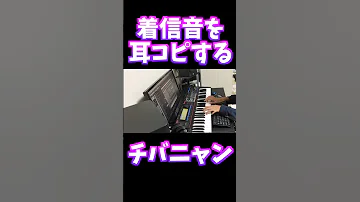 着信音を耳コピするチバニャン Shorts 