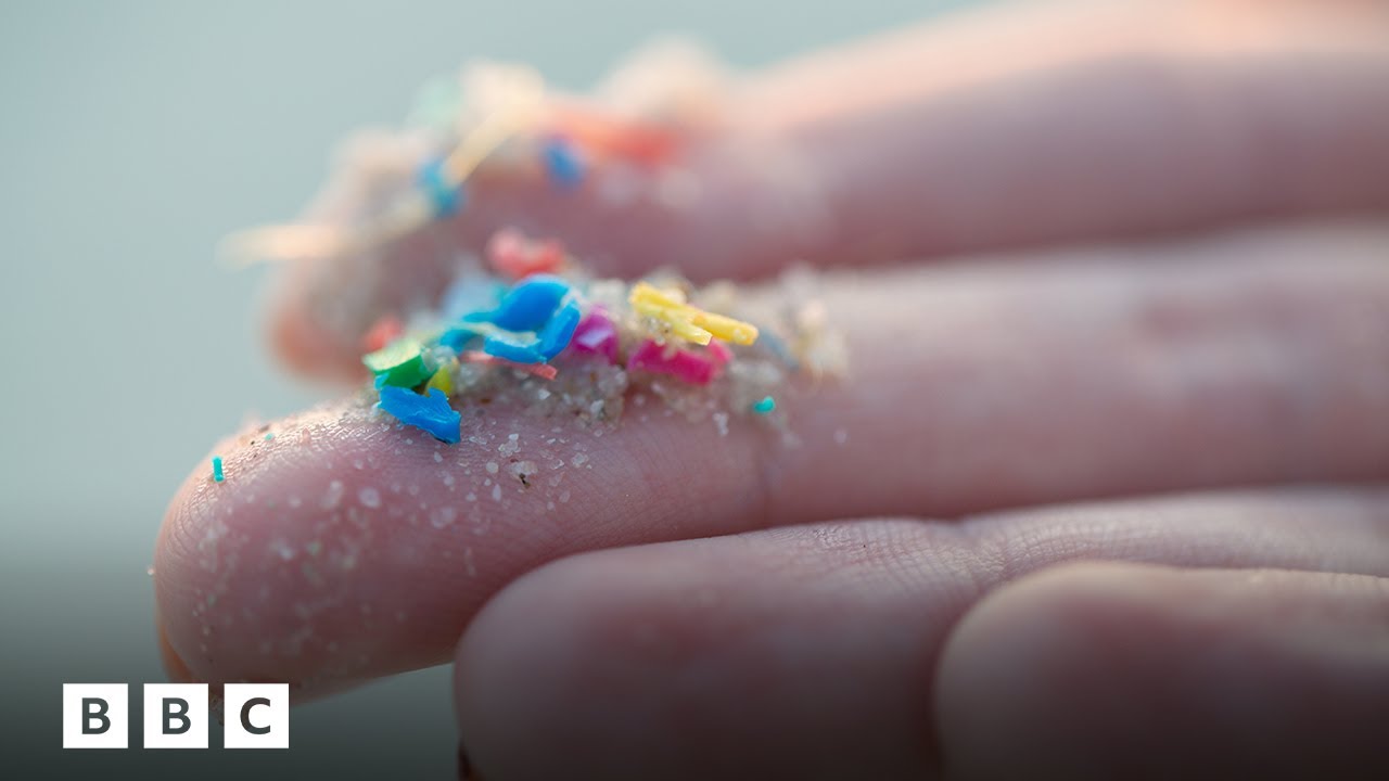 Outline Video How to limit your exposure to microplastics | BBC Global