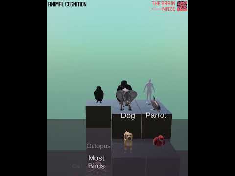 A Comparison of