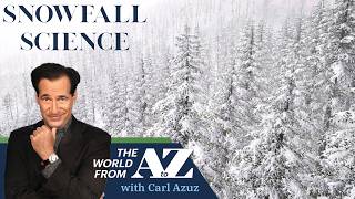 The Science of a Silent Snowfall