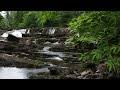 Forest Waterfall Nature Sounds-Relaxing Bird Sound-Soothing Water Flowing &amp; Calming Birds Chirping