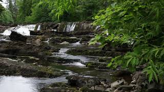 Forest Waterfall Nature Sounds-Relaxing Bird Sound-Soothing Water Flowing & Calming Birds Chirping
Listening to the sound of nature in the calming ambience of being close to a forest waterfall helps to relax your mind. The sound of birds Chirping, echoing amongst the trees of the forest calms you. Let these nature sounds; the birdsong and the soothing sound of water flowing over this beautiful waterfall bring a relaxing peace to your day.
Nature sounds, with the soothing sound of a waterfall, forest sounds or bird sounds are relaxing to our minds and help us to sleep, study, into relaxation or for meditation. We are able to relax with these peaceful sounds of nature which have accompanied us since the dawn of time. We are familiar with natures rhythms. They are part of our own rhythms, we feel safe and comfortable with the sounds of nature. We find nature sounds to be very therapeutic and stress relieving. Natures relaxing sounds can heal many disorders and illnesses, particularly those imposed by the stress of modern societies. All we have to do is simply listen to these healing sounds of nature regularly. Forest sounds, birdsong and waterfall sounds are perfect for improving and accompanying a relaxation, meditation or mindfulness program.
The calming sounds of nature are a natural tonic for mind and body. Relaxation and meditation are very important to ones wellbeing. Take time with these relaxing nature sounds, sounds of the forest, waterfalls and birdsong. Permit yourself to relax and de-stress.
Take a few moments out of your busy day for relaxation and or meditation, sit or lie in a relaxing position and let these calming nature sounds and images melt away your stress and tension. It is a good idea to, everyday take some time away from your normal hectic schedule for quiet relaxation. Let the soothing nature sounds of this natural scene, relax and calm you.
As you listen to these soothing sounds of the forest, water, lake, sea, river, waterfall or birdsong, breath in a relaxed manner, feel positive energy travel throughout your mind and body. This meditation will rejuvenate you and help you to replenish your energy to face the rest of your day or help you to sleep better.
Study after study has proven that the healing sounds of the forest, water, lake, sea, river or waterfall and birdsong help people to find a peace within themselves which assists healing of many conditions and illnesses. These soothing sounds of nature videos have helped literally hundreds of thousands of people across the world with finding an inner calm to help them with study, getting to sleep, relaxing, meditating and fighting off illness, alleviating depression and stress in their lives.
Insomnia can be helped with relaxation techniques and a practice of meditation aided by the calming sounds of nature. Take time to relax with these soothing images and nature sounds. This peaceful natural soundscape has been created specifically to help you in your life, take advantage of its healing energy and relax with it daily, play it during the day as you work, study or relax, play it at night to help you get a better sleep. Share with friends, they will thank you for it.
A great way to share and promote positivity across youtube and the world is to create Public playlists on your channel, even if you dont upload any videos yourself you can still make a positive impact on youtube. Create playlists on your channel to help spread and promote positive videos. Collect all those wonderful positive helpful videos you would like others to see into various playlists. This would also help promote your favourite positive channels. Let us be the change we want to see in the world.
Here are a few playlists you may find interesting:-
Relaxation, 8 Hours of Nature Sounds
https://www.youtube.com/playlist?list=PLqHtR-iQm26VrnHsJzw-b-X6PRLKlcCiU
Natural Sleep Aid Sounds
https://www.youtube.com/playlist?list=PLqHtR-iQm26XoHdG_NWHvrel-DGQFANgY
Natural Recordings of Birds Singing
https://www.youtube.com/playlist?list=PLqHtR-iQm26X_Y8YlG3xNr530tYeebZpQ
Recordings of Natural Water Sounds
https://www.youtube.com/playlist?list=PLqHtR-iQm26W0qMveMJ-dhazhuL_UFP48
Sounds of the Sea
https://www.youtube.com/playlist?list=PLDE7EB40F17DFF5AF
#naturesounds #waterfallsounds #forestsounds
Direct link for this video as a 1hr. mp4 download:- https://gum.co/bluebellwoodlandandbirdsong
Direct link for this soundscape as a 1hr. or 8hr. mp3 download:- https://gum.co/mp3bluebellwoodlandandbirdsong .
.
.
#whitenoise #soundsofnature #relaxingsounds #birdsong #waterfall #naturesoundsforsleeping #relaxingnaturesounds #birdsounds #birdssinging #sleepingsound #relaxation #meditation Forest Waterfall Nature Sounds-Relaxing Bird Sound-Soothing Water Flowing & Calming Birds Chirping