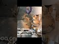 5D ЧПУ 5 осевой станок C DeKart 6060 | от Станком | #shorts