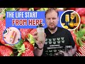 Portable Fruit Juicer machine to GO!