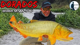 Un dia de pesca en el paraíso del litoral 💣