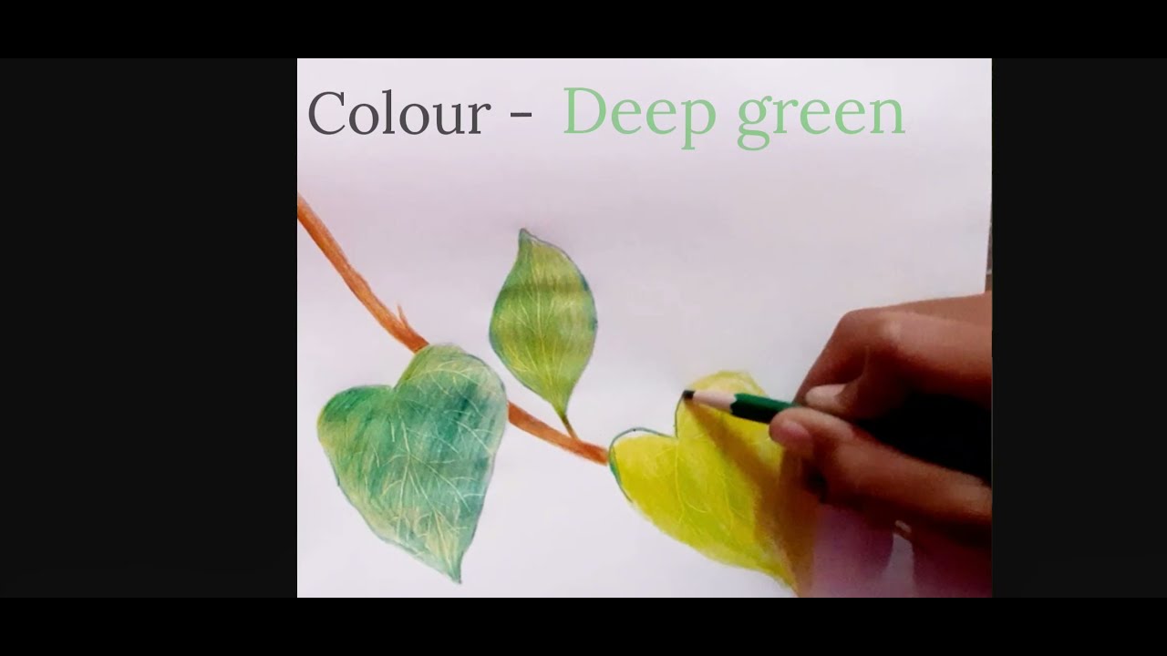 | How to draw 3D leaf | Easy technique for beginners | - YouTube