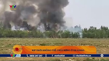 Kịp thời khống chế cháy rừng ở An Giang | VTVWDB