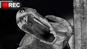 CONTENT WARNING VS Three Idiots