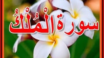 سورة الملك - تبارك - كامله تلاوه تريح القلب ❤ والعقل || سبحان من رزقه هذا الصوت