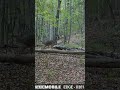 It’s getting time little4 point chasing🦌 #deer #deerhunting#hunterxhunter #viralvideo #viralshorts