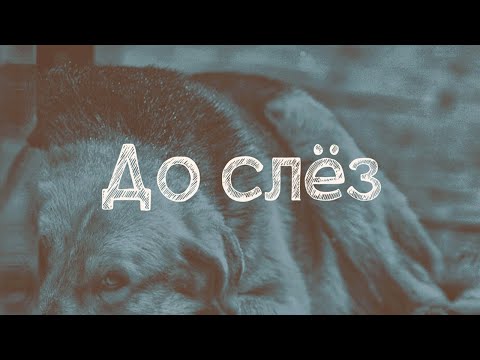 SERPO - До слёз (serpo prod.) / ПРЕМЬЕРА ТРЕКА 2021!!!