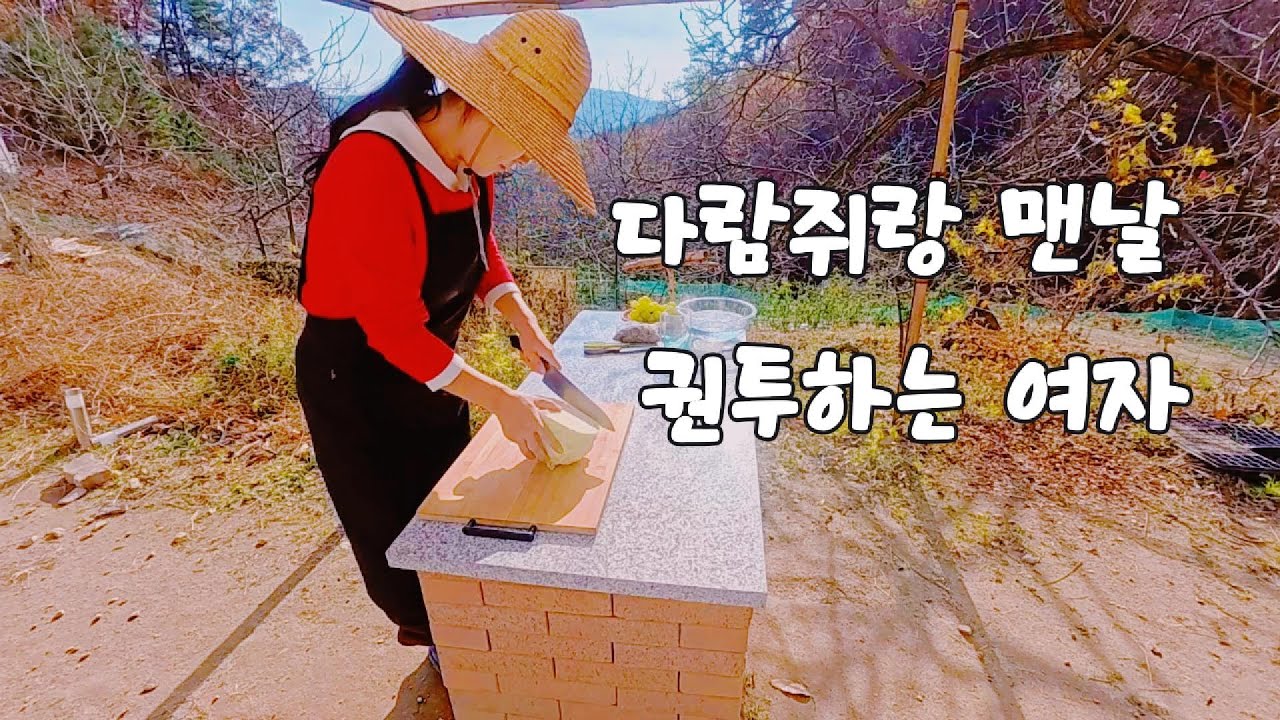 Сладкий мёд, ниспосланный Богом ㅣ Боксирующая белка ㅣ Птица, поющая до кровоточащих ушей