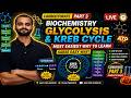 Carbohydrate Part 3 Glycolysis & Krebs Cycle | Sabse Easy Way to Learn! lecture 3
