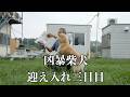 触れなくなった凶暴柴犬が心を開くまでの初期アプローチと信頼構築の動画