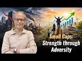 Small Caps: Strength through Adversity
