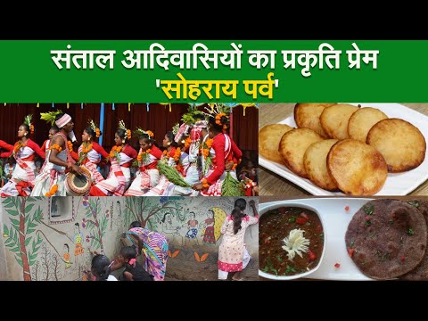 संताल आदिवासियों का प्रकृति प्रेम 'सोहराय पर्व' II Sohrai festival II Jharkhand