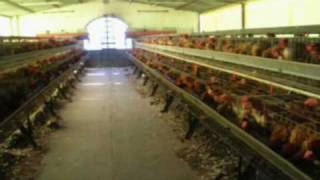 Veni a E.A.S del valle.mpg