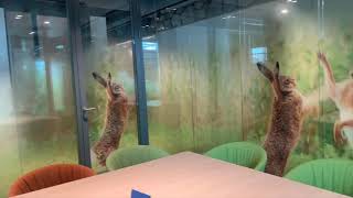 Beentjes Bouwgroep Bouwt Aan Branding