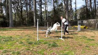 Cone Work & Crosses - Quick Agility Skill Break Down