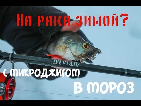 На рака зимой? С микроджигом в мороз!