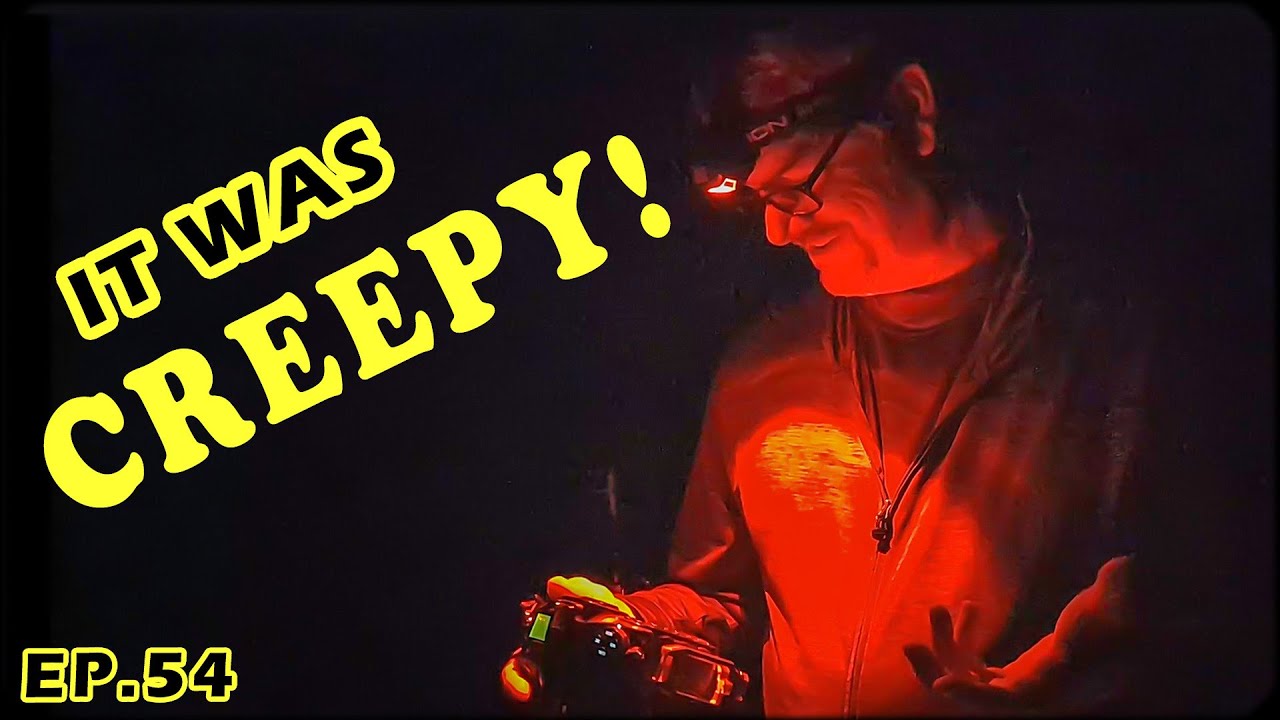 Exploring the Darkest Skies in Michigan: Night Photography in Wilderness State Park