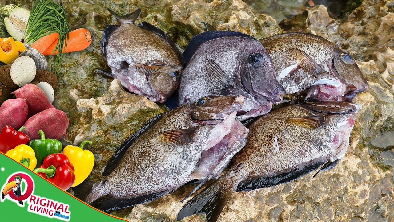 Doctor Fish Soup  Catch N Cook Style 